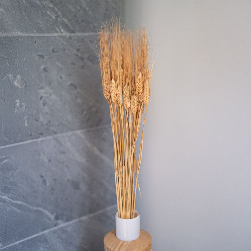 Orge naturel séché, détail des épis aux teintes bohèmes chaudes - Flowrette