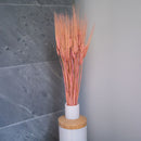 Orge rose séchée, détail des épis aux reflets rosés délicats - Flowrette