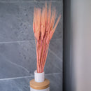 Botte d'orge rose en composition décorative dans un vase - Flowrette