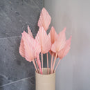 Small pink palm leaf