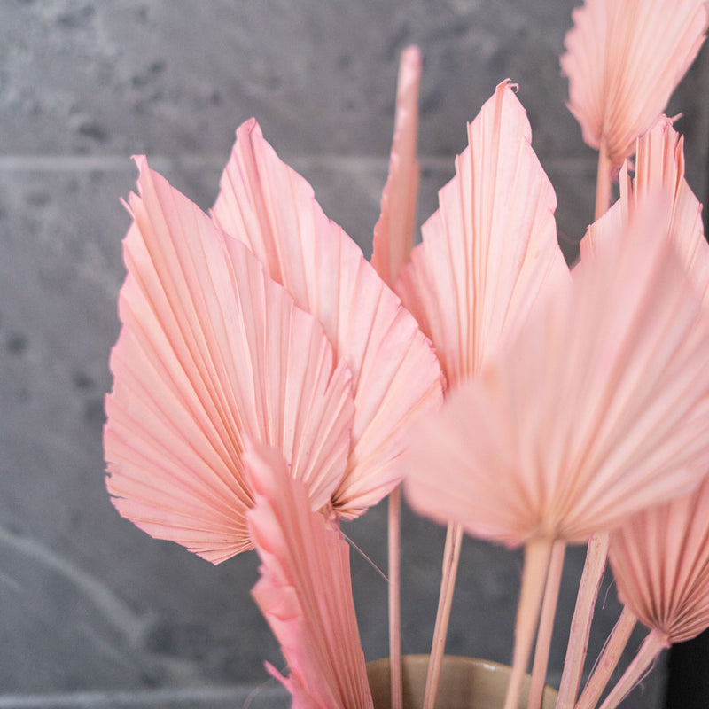 Small pink palm leaf