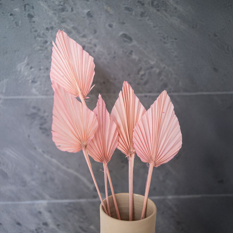 Small pink palm leaf