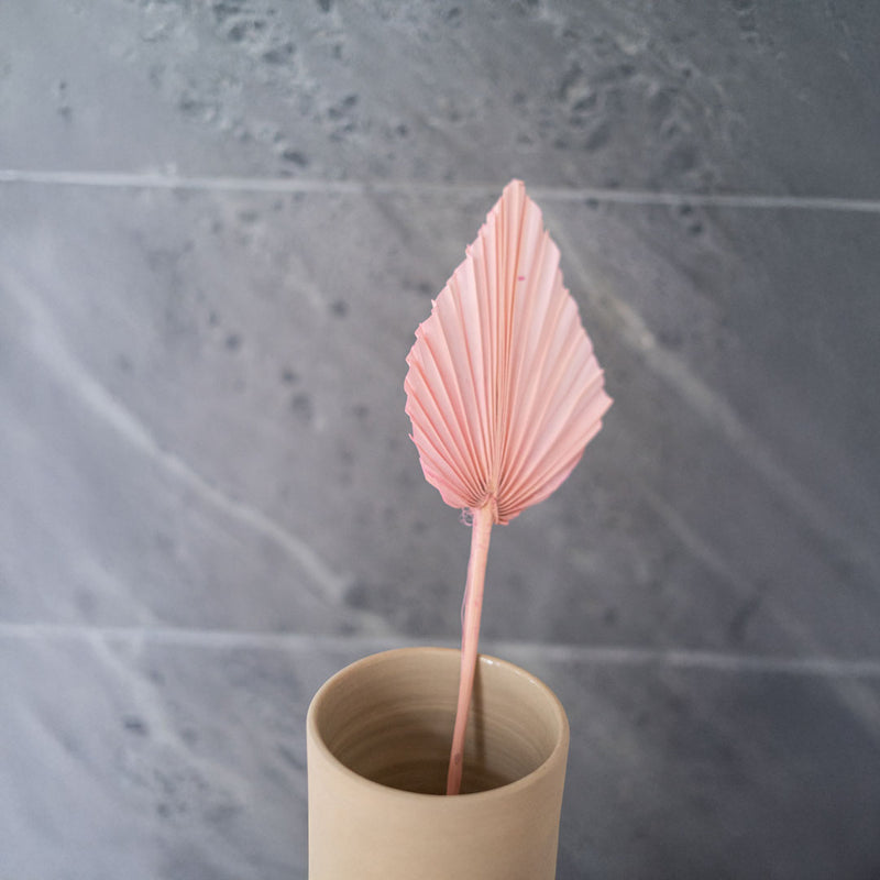 Small pink palm leaf