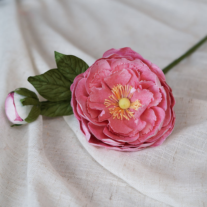 Pivoine rose foncé