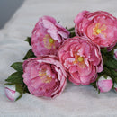 Pivoine rose fonc