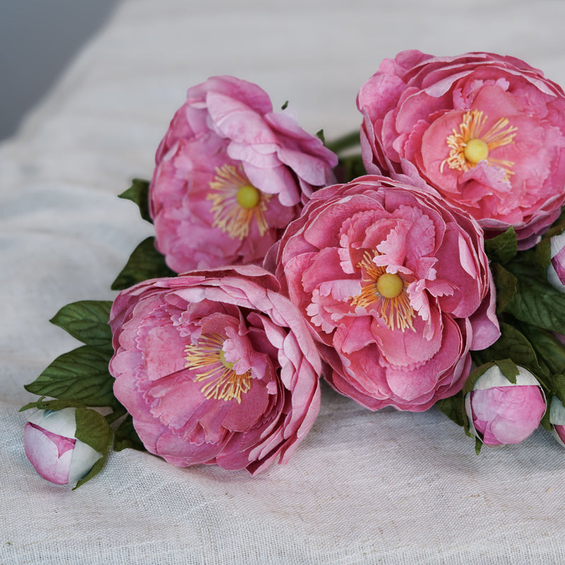 Pivoine rose fonc