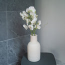 Pois de senteur en papier blanc