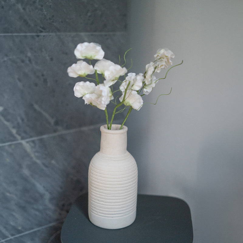 Pois de senteur en papier blanc