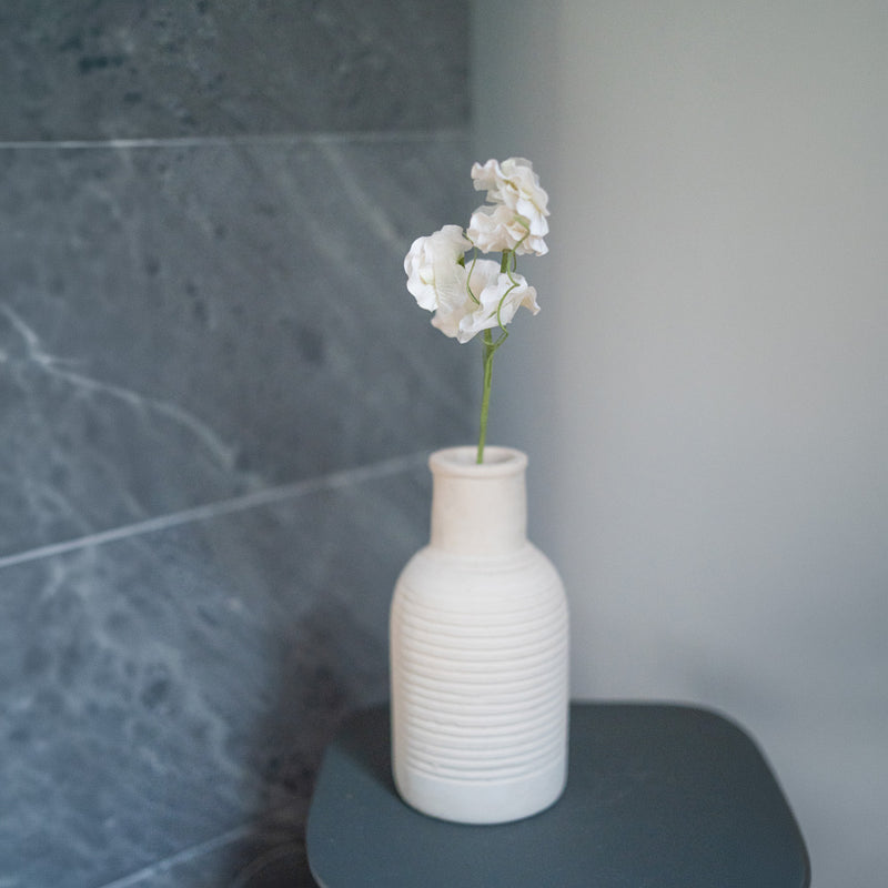 Pois de senteur en papier blanc