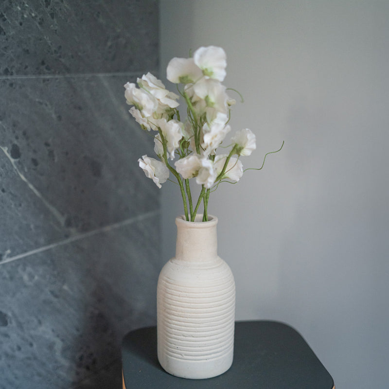 Pois de senteur en papier blanc