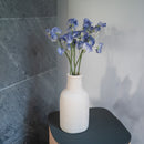 Pois de senteur en papier bleu