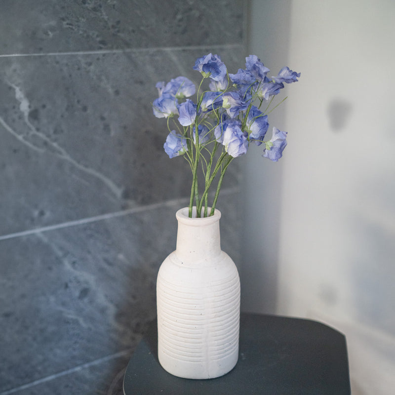 Pois de senteur en papier bleu