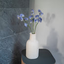 Pois de senteur en papier bleu