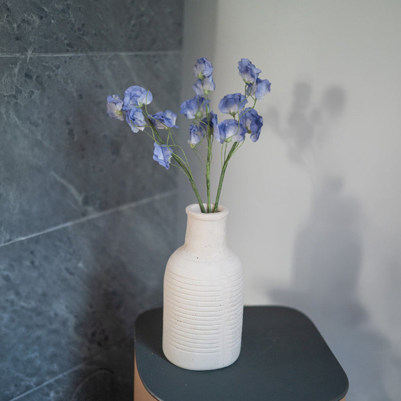 Pois de senteur en papier bleu