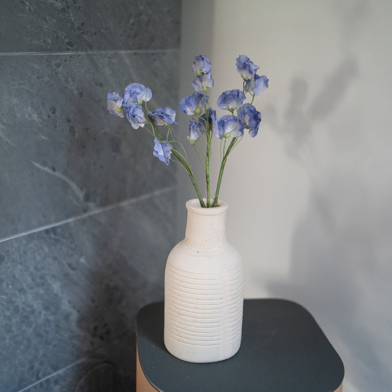 Pois de senteur en papier bleu