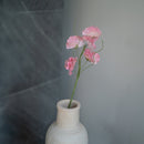 Pois de senteur en papier rose clair