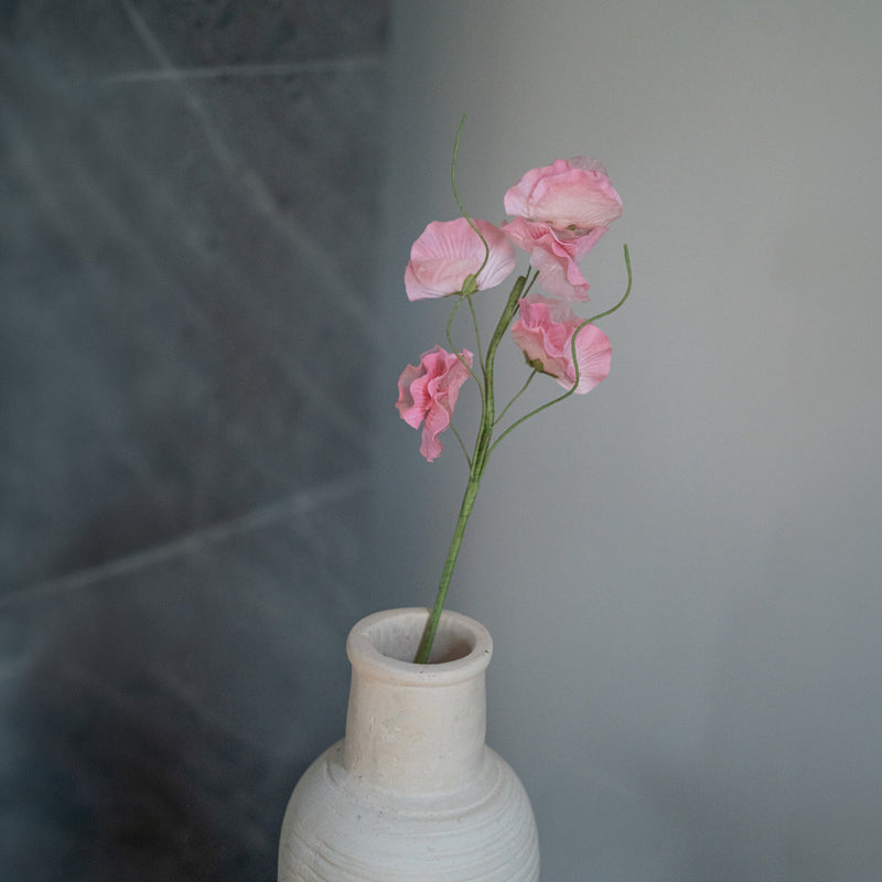 Pois de senteur en papier rose clair