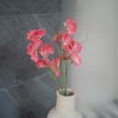 Pois de senteur en papier rose foncé