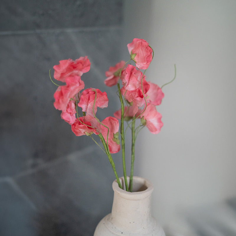 Pois de senteur en papier rose foncé