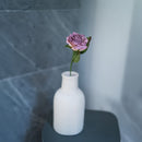 Rose Lady en papier violet