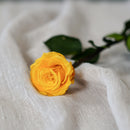 Rose jaune safran stabilisée