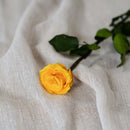 Rose jaune safran stabilisée