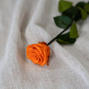 Rose orange stabilisée