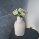 Rose queen en papier vert