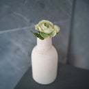 Rose queen en papier vert