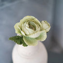Rose queen en papier vert