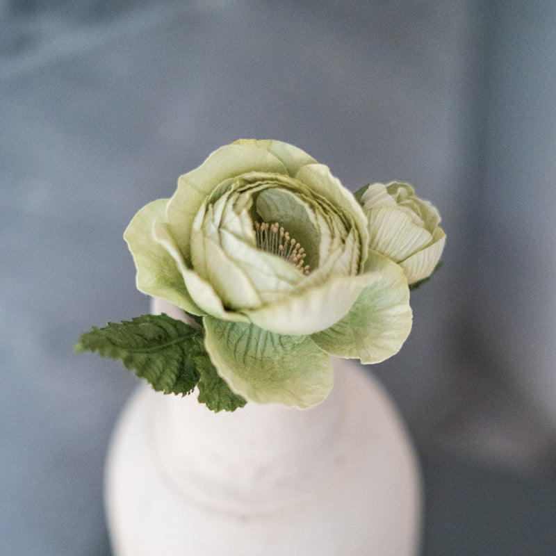 Rose queen en papier vert