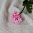 Rose rose stabilisée