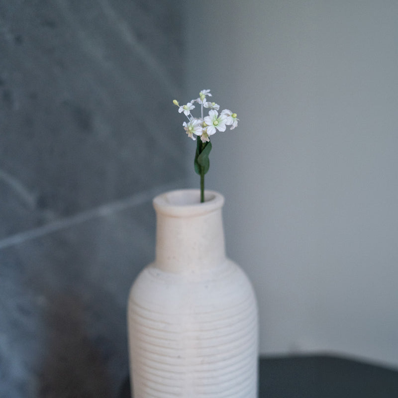 Scaévola en papier blanc