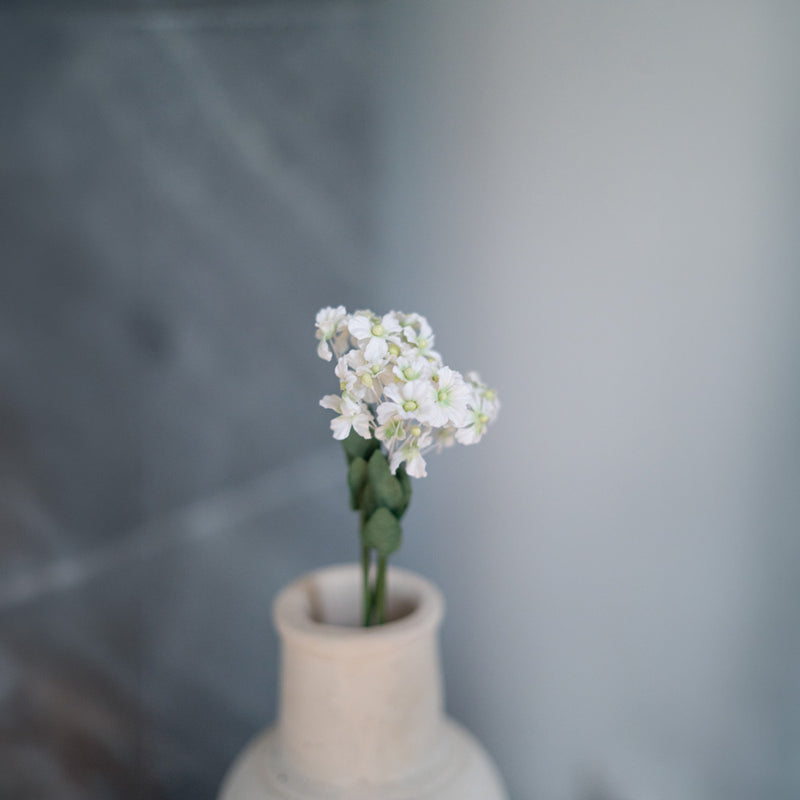 Scaévola en papier blanc