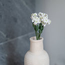 Scaévola en papier blanc