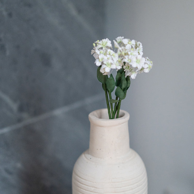 Scaévola en papier blanc