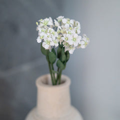 Feenfächerblume aus weißem Papier