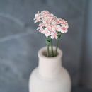 Scaévola en papier pêche