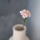 Scaévola en papier pêche