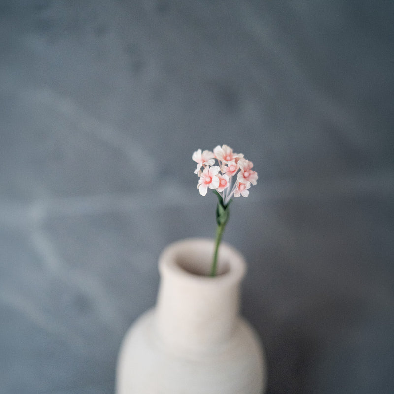 Scaévola en papier pêche