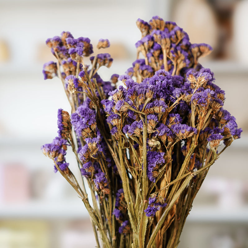 Statice Sinuata violet