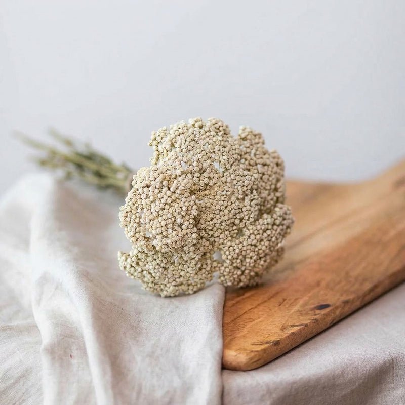 Botte Achillée Blanc