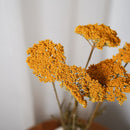 Botte Achillée jaune - Flowrette