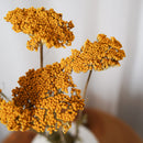 Botte Achillée jaune - Flowrette