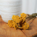 Botte Achillée jaune - Flowrette