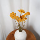 Botte Achillée jaune - Flowrette