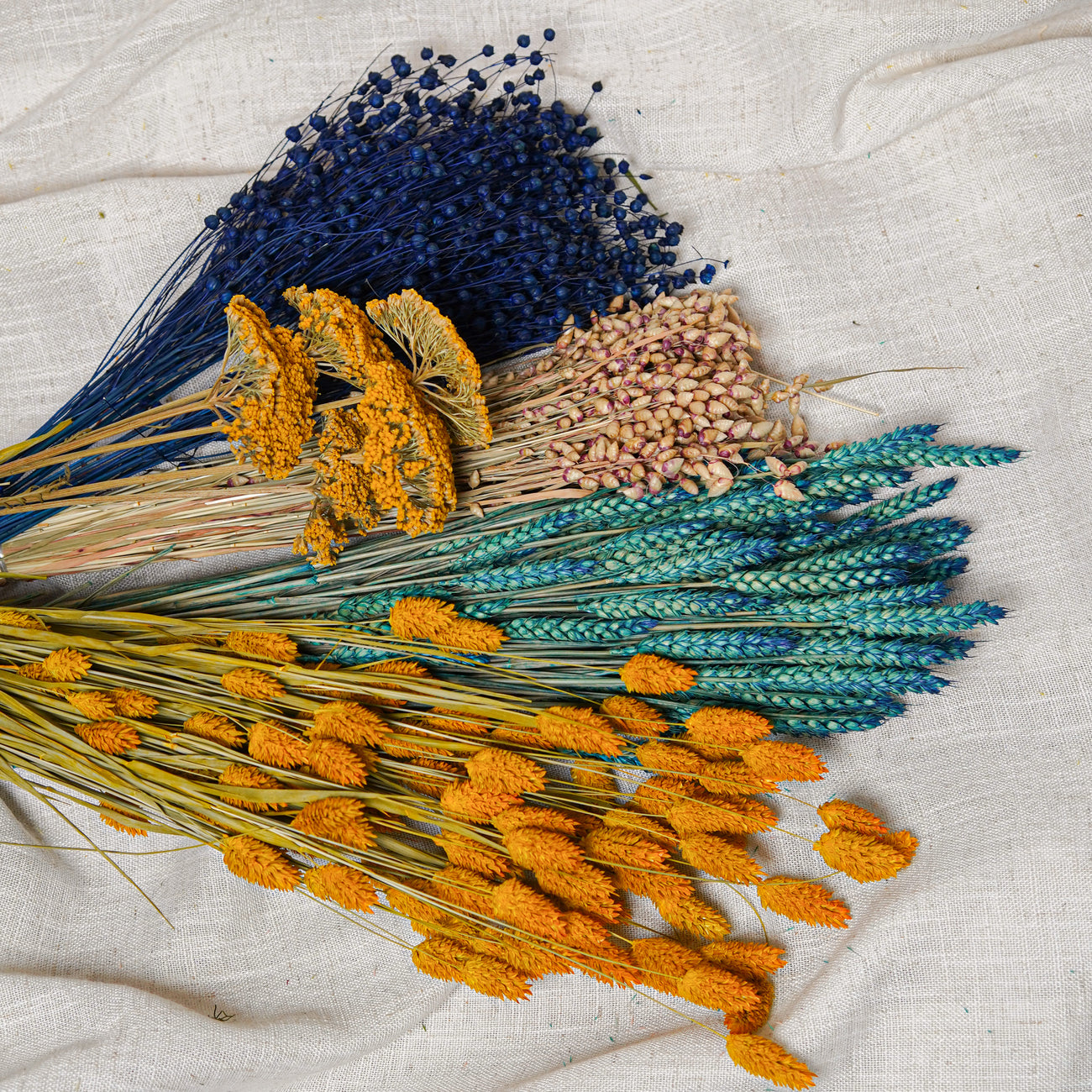 Mazzi assortiti di fiori secchi blu e gialli - Flowrette