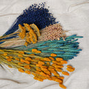 Mazzi assortiti di fiori secchi blu e gialli - Flowrette