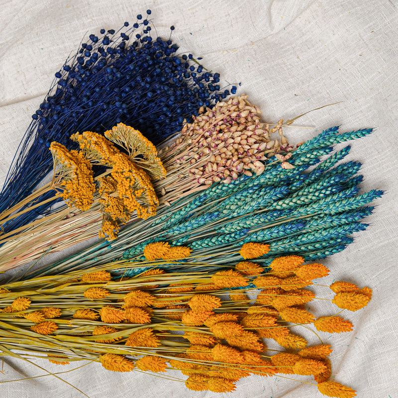 Assortimento di mazzi di fiori secchi blu e gialli - Flowrette — visual 2