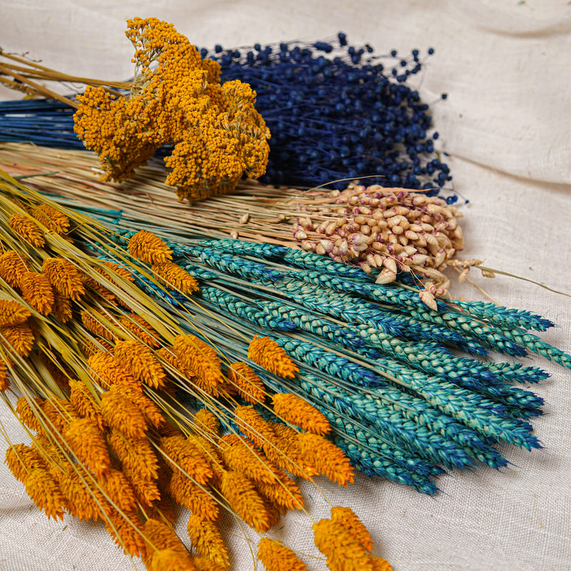 Assortimento di mazzi di fiori secchi blu e gialli - Flowrette — visual 3